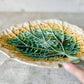 Green Yellow Unmarked Majolica Begonia Leaf 11" Dish, c1880
