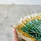 Green Yellow Unmarked Majolica Begonia Leaf 11" Dish, c1880
