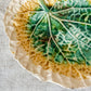 Green Yellow Unmarked Majolica Begonia Leaf 11" Dish, c1880