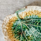 Green Yellow Unmarked Majolica Begonia Leaf 11" Dish, c1880