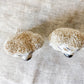 Antique Pair of 4.5" Staffordshire Poodle Figures