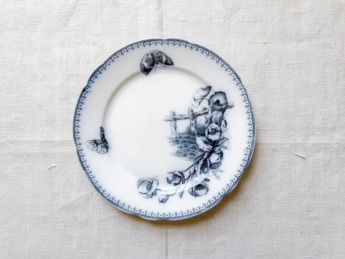 Antique Butterfly Blue Dutch Ironstone 9" Plates - "Malaga" by Petrus Ragout